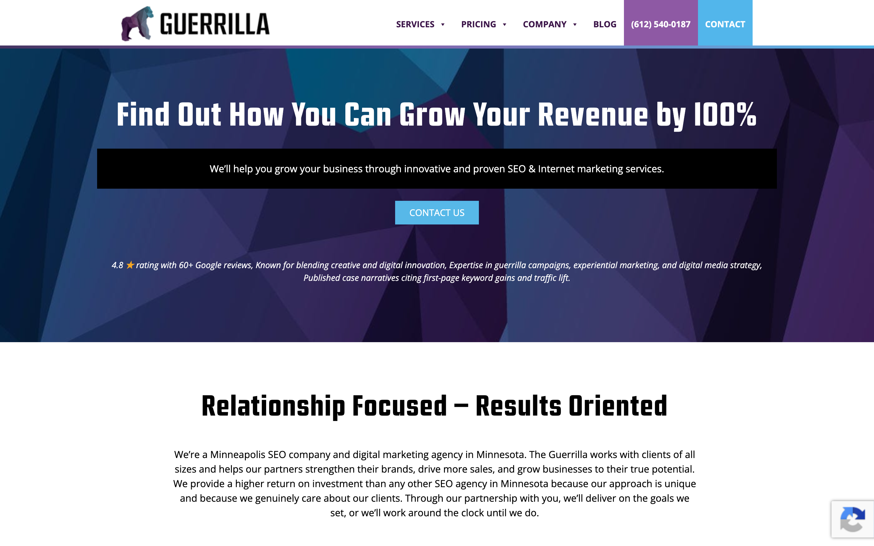 The Guerrilla Agency homepage promising revenue growth through SEO and internet marketing, 4.8 stars across 60+ Google reviews