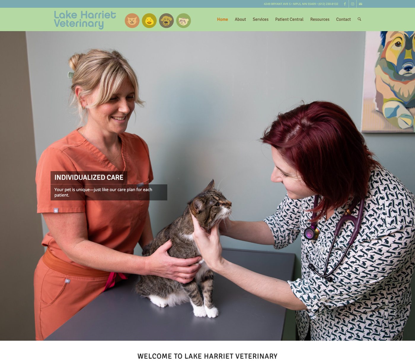 Lake Harriet Veterinary homepage with a photo of two staff members examining a tabby cat on an exam table, and the heading Welcome to Lake Harriet Veterinary